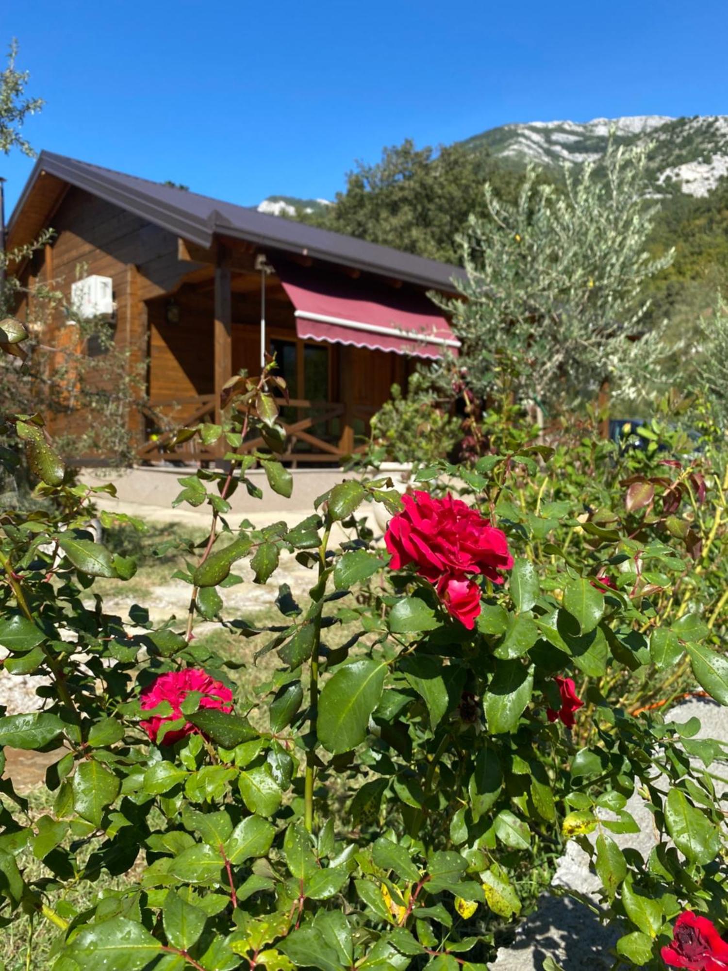 Guest House Mare Bar Exterior photo